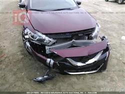 نيسان ماكسيما